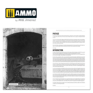 Ammo of Mig 6267 ITALIENFELDZUG – German Tanks and Vehicles 1943-1945 Vol. 4 – Bild 7