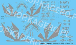 Kagero 41001 Grumman F-14 TOMCAT EN/PL – Bild 2