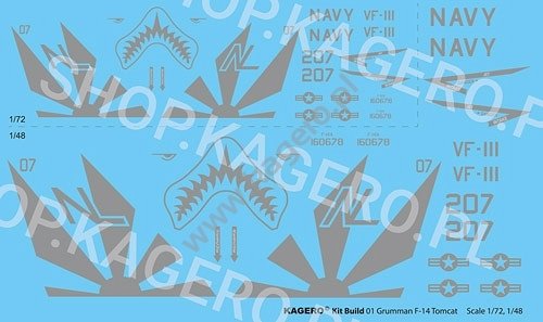 Kagero 41001 Grumman F-14 TOMCAT EN/PL – Bild 2