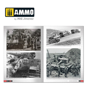 Ammo of Mig 6273 Tigers – Modeling the Ryefield Family (English) – obrázek 3