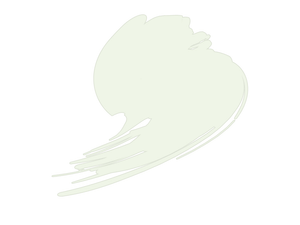 Hataka HTK-C049 Insignia White (FS17875, ANA 511) 17ml