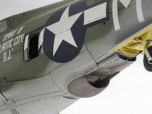 Tamiya 61086 P-47D Razorback 1/48 – obrázek 8