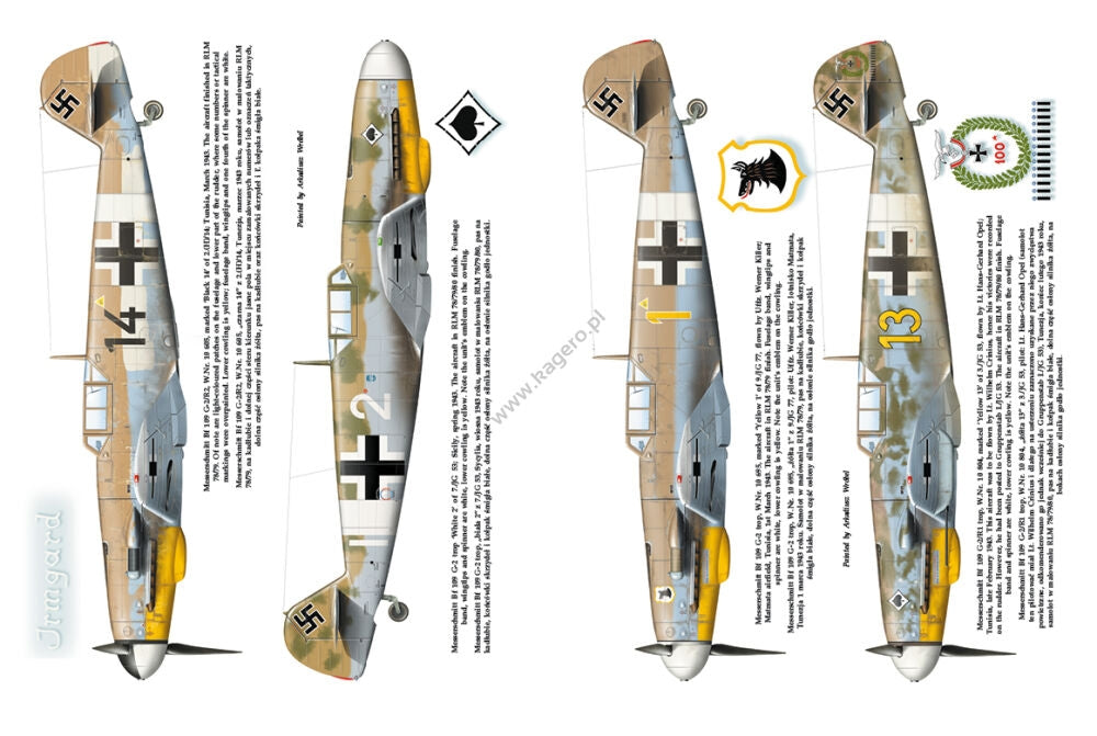 Kagero 12010 Luftwaffe over Tunisia vol. II February – May 1943 EN – Bild 4