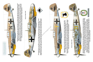Kagero 12010 Luftwaffe over Tunisia vol. II February – May 1943 EN – Bild 4
