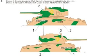 ToRo Model 35D30 - Polish Shermans in Italy, 2nd Polish Corps 1945 vol.2 1/35 – obrázek 3