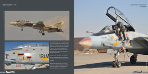 HMH Publications DH-037 Grumman F-14 Tomcat - Aircraft in Detail 037 (English Version) – image 3