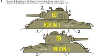 ToRo Modèle 35D48 - Shermans polonais en Italie, 2e Corps polonais 1945 vol.3 1/35 – image 3