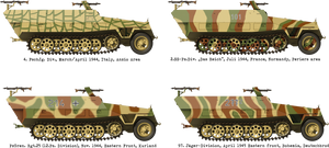Das Werk DW16005 Sd. Kfz. 251/1 Ausf.D 1/16 – image 2