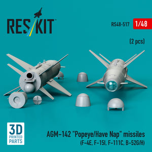 RESKIT RS48-0517 AGM-142 &amp;quot;Popeye/Have Nap&amp;quot; missiles (2 pcs) (3D Printed) 1/48 – imagen 2