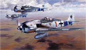 Hasegawa ST21 FOCKEWULF Fw190A-8 1/32 – Bild 2