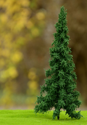 FREON SWI2 Norway spruce - Norway spruce, low trunk (full) 14-16cm