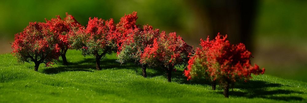 FREON KRZROZA Shrubs rose - Rose bushes 2/4cm (10 pcs)