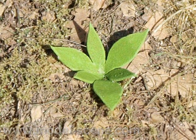 Model Scene VG3-009 Low weed - type II 1/32, 1/35