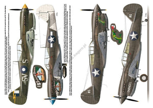 Kagero 3040 Curtiss P-40 vol. II EN – Bild 5