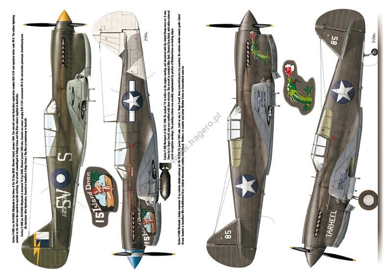 Kagero 3040 Curtiss P-40 vol. II EN – Bild 5