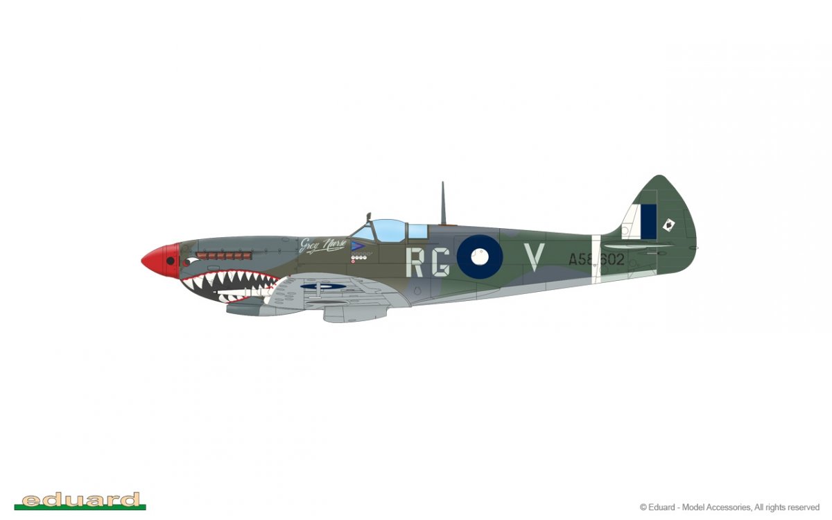 Eduard 84154 Spitfire Mk.VIII Weekend edition 1/48 – imagen 7