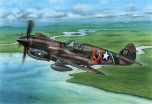 Special Hobby 72338 P-40E Warhawk « Griffes et Dents » 1/72