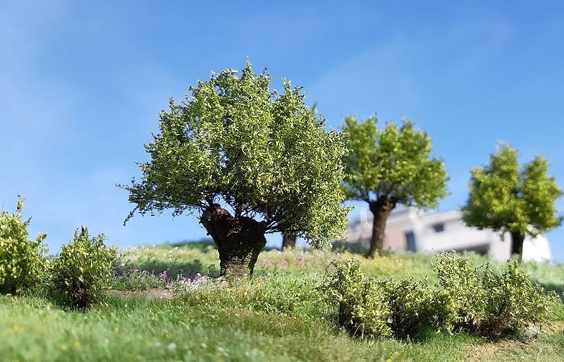 FREON WP1 Willow - Field willow 6/8cm
