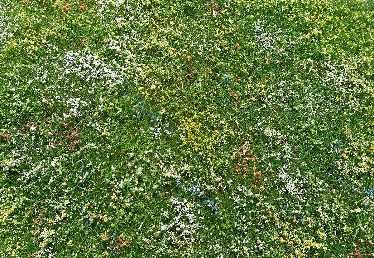 Model Scene F562 Blooming meadow - early summer – obrázek 2