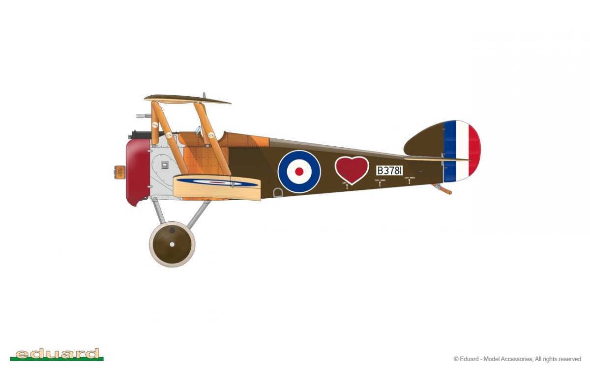 Eduard 82171 Sopwith F.1 Camel (BR.1) 1/48 – imagen 14