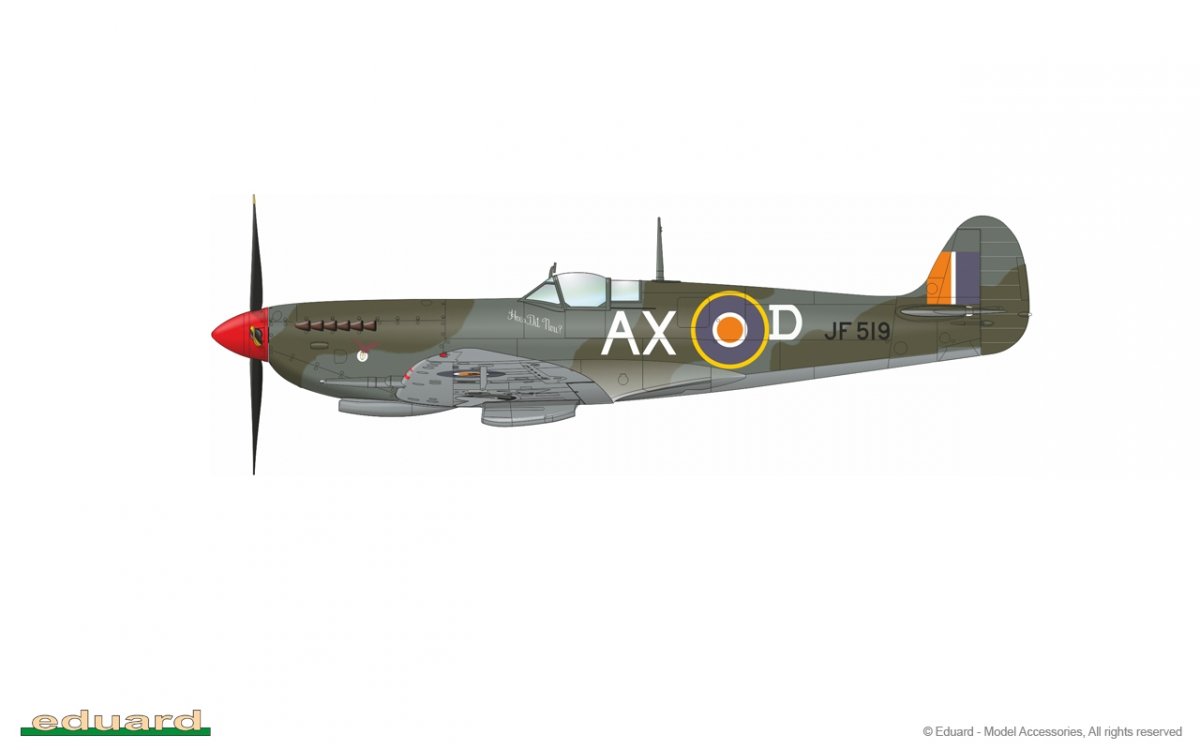 Eduard 8287 Spitfire HF Mk.VIII 1/48 – zdjęcie 6