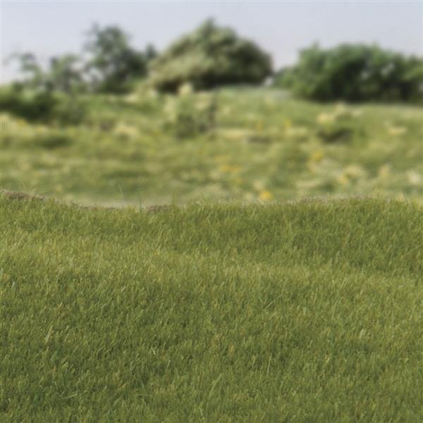 Woodland Scenics WFS613 2mm Static Grass Dark Green – image 2