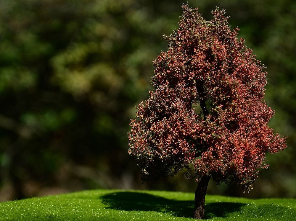 FREON DJ2 Autumn tree - Autumn Tree 14/16cm