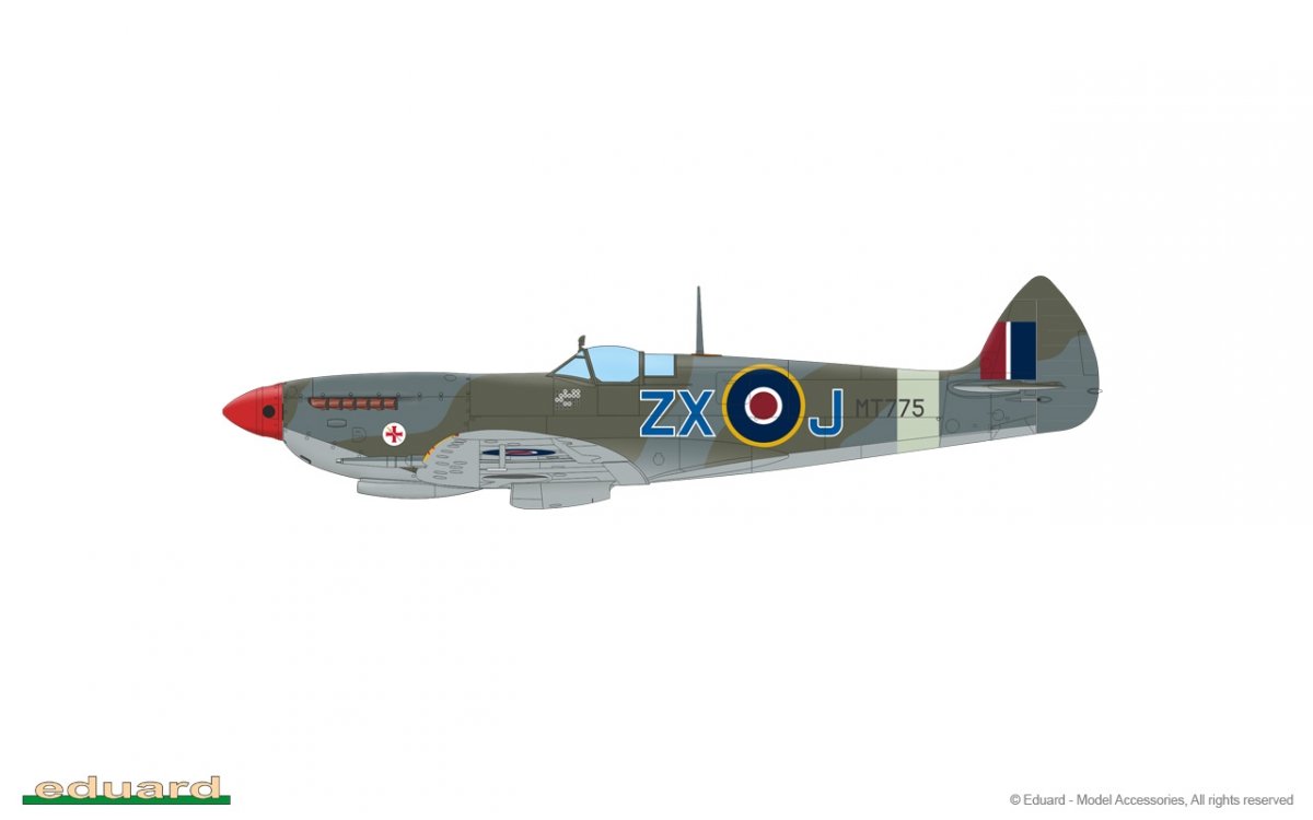Eduard 84154 Spitfire Mk.VIII Weekend edition 1/48 – imagen 6