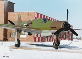 Revell 04686 DORNIER DO335 PFEIL 1/48 – Bild 2