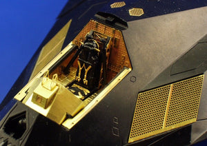 Eduard 73253 F-117 1/72 HASEGAWA – imagen 4