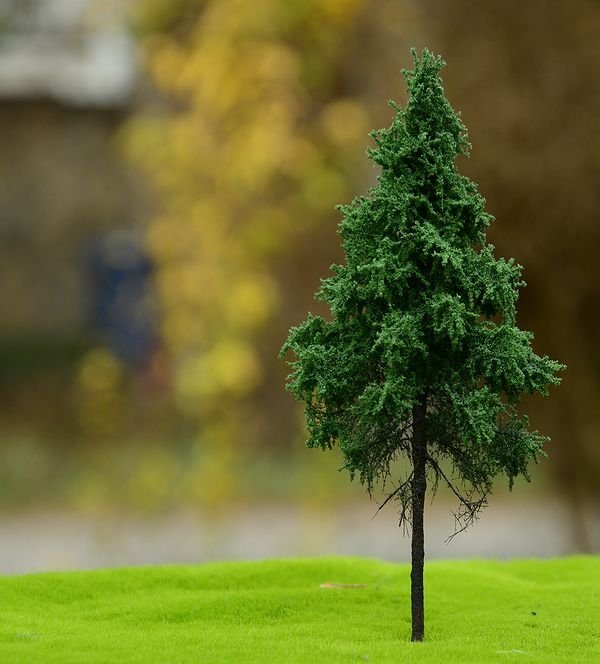 FREON SWP4 Norway spruce - Norway spruce, tall trunk (forest) 25/28cm