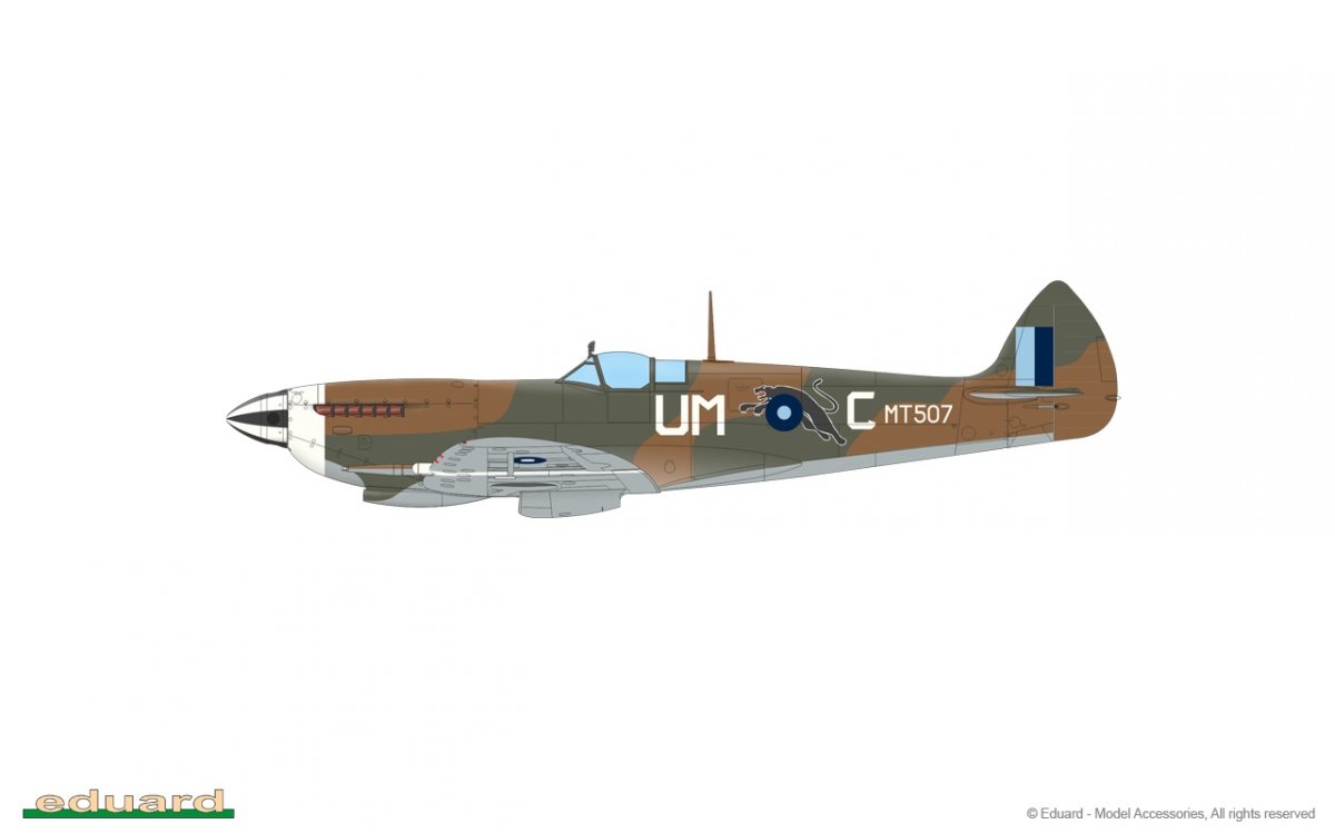 Eduard 84154 Spitfire Mk.VIII Weekend edition 1/48 – imagen 5