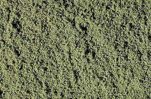 Woodland Scenics WT46 Weeds Fine Turf (412cm3)