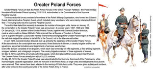 ToRo Model 35F117 - Greater Poland Forces 1919 - Lt Col Wladyslaw Anders Commander of the 1st Greater Poland Uhlan Regiment, Babruysk area, summer 1919 1/35 – image 7