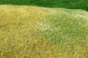 Scène miniature F023 Prairie - Haute végétation, fin d&amp;#39;été