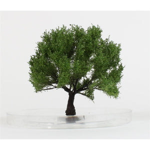 FREON DO1 Olive tree - Olive tree 6/8cm