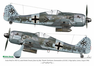 Exito ED72004 DECALS Luftwaffe Ground Attackers vol.1 - Ju 87 D-3, Hs 129, Fw 190F-8 1/72 – immagine 3