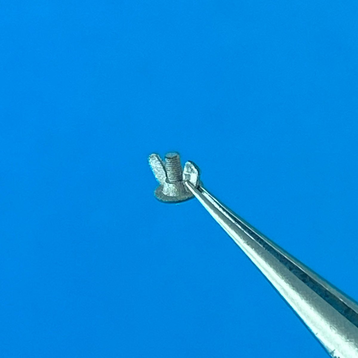 Point of no Return 1623003 M10 wing nuts 1/16 – image 4
