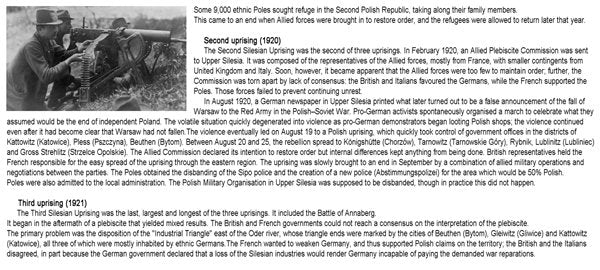 ToRo Model 35F123 Silesian Uprising 1921 Insurgent in railway uniform 1/35 – obrázek 4