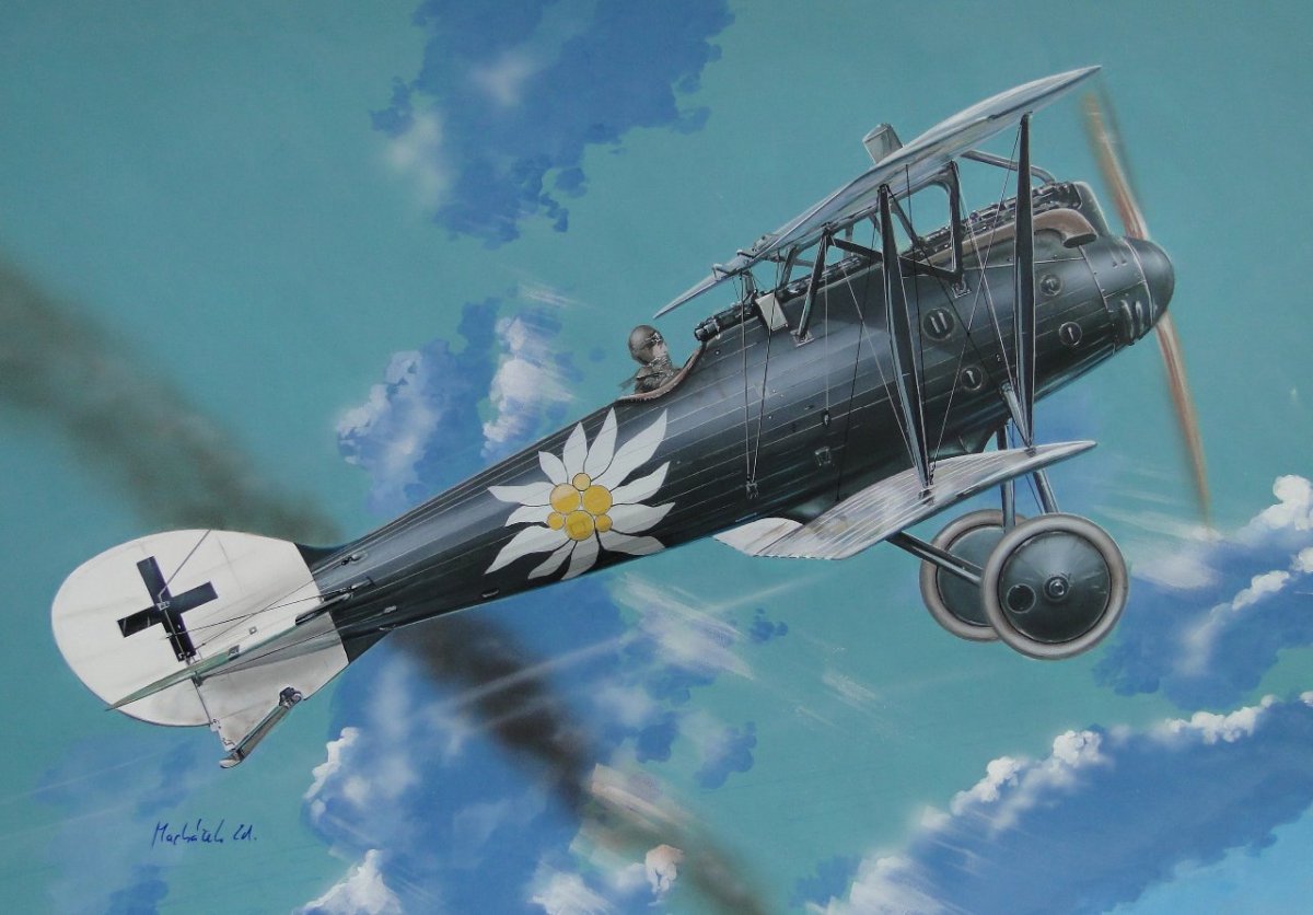 Fly 48014 Roland D VI a 1/48 – image 2