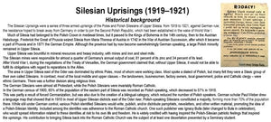 ToRo Model 35F123 Silesian Uprising 1921 Insurgent in railway uniform 1/35 – obrázek 3