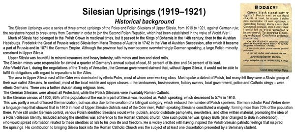 ToRo Model 35F123 Silesian Uprising 1921 Insurgent in railway uniform 1/35 – obrázek 3