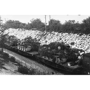 AK Interactive AK35501 GERMAN RAILWAY SCHWERER PLATTFORMWAGEN TYPE SSYS 1/35 – Bild 9