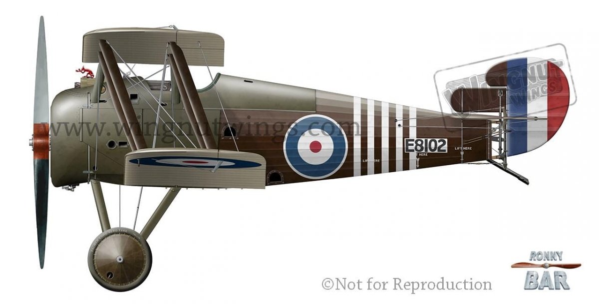 Wingnut Wings 32608 Sopwith 7F.1 Snipe “William Barker&amp;quot; 1/32 – image 4