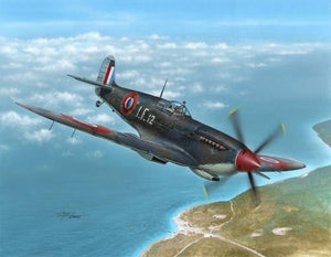 Special Hobby 48138 Supermarine Seafire Mk.III Aeronavale &amp;amp; Irish Air Corps (1/48)