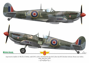 Exito ED48003 DECALS Sexy Spitfires - Supermarine Spitfire LF Mk Vb - VIII - IXe 1/48 – immagine 4