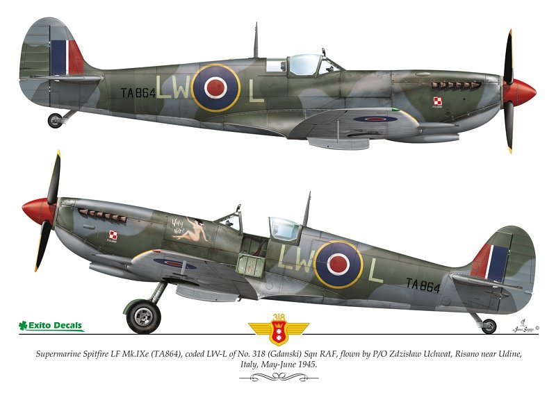 Exito ED48003 DECALS Sexy Spitfires - Supermarine Spitfire LF Mk Vb - VIII - IXe 1/48 – immagine 4