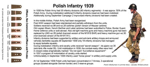 Toro 35F66 Wrzesień 1939 - Żołnierz piechoty Figurka wraz z kalkomanią 1/35