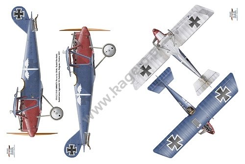 Kagero 6007 Pfalz – Avion de chasse de Rhénanie, le pays du vin (EN) – image 5