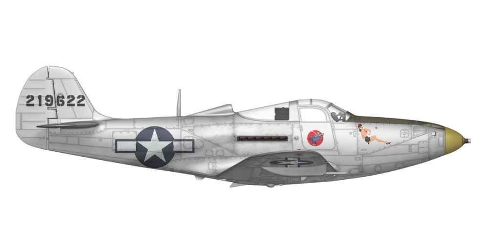 Arma Hobby 40013 P-39 Airacobra RECON 1/48 – Bild 8